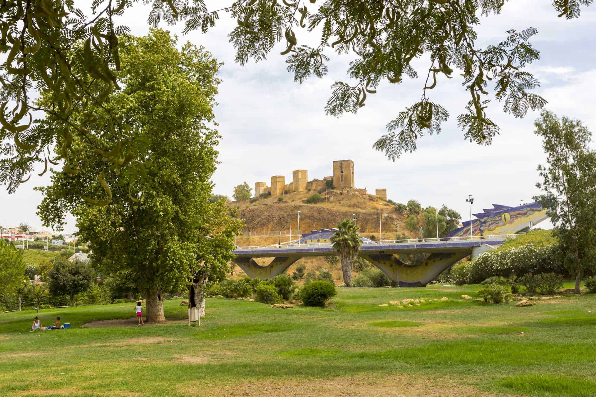 servicios-de-empresas-de-mudanzas-en-alcala-de-guadaira3