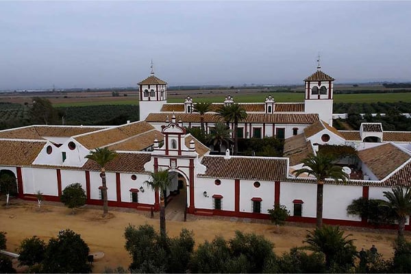 serviciosa-de-empresas-de-mudanzas-la-rinconada3