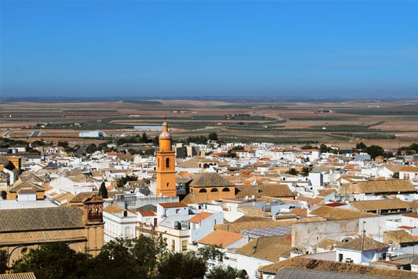 Mudanzas en Osuna